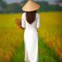tran thai binh